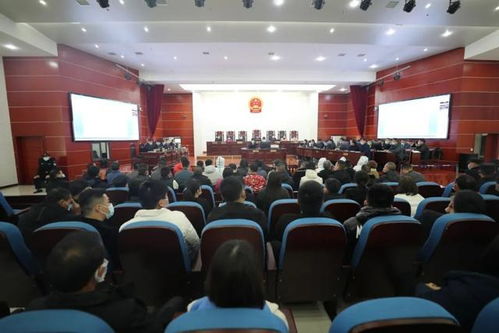 安徽績(jī)溪 利用四百多家 空殼 公司虛開(kāi)增值稅專(zhuān)用發(fā)票 39人特大涉稅案一審宣判